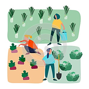 People doing agricultural works on vegetable patch. Vector flat illustration. Gardening concept. Agritourism concept