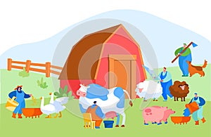 People Doing Farming Job as Feeding Domestic Animals, Milking Cow, Shearing Sheep, Prepare Hay for Livestock
