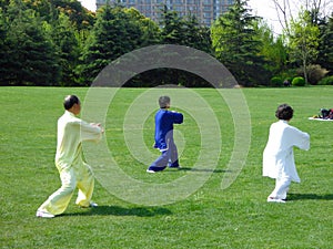 People doing tai chi in a park