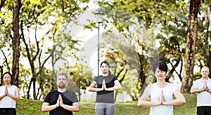 People doing yoga at the park