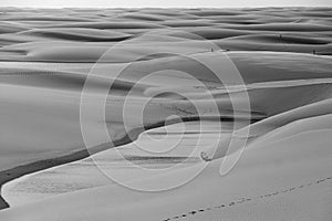 People on the dunes - LenÃ§ois Maranhenses, MaranhÃ£o, Brazil.