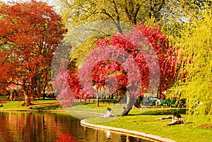 Spring in the Publik Garden, Boston