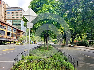 Medellin, Colombia; 05 02 2019: People enjoy the weekend with an amazing view of the street el poblado in medellin with large tree photo