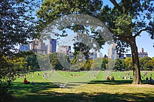 People enjoying a beautiful sunny day in Central Park