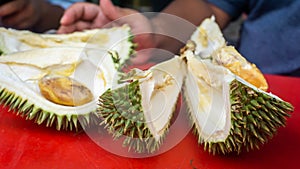 People enjoying eating Durian, the King of Fruits using hand