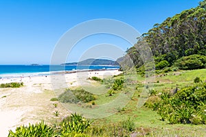 People enjoying the sunny weather at Pebbly Beach, a popular camping area with great surfing beach and bush walks within