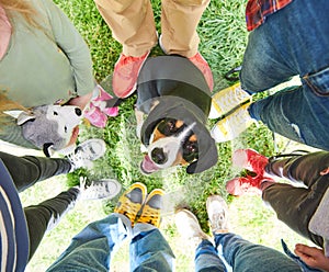 People feet on green grass, standing in a circle with dog. Top view.