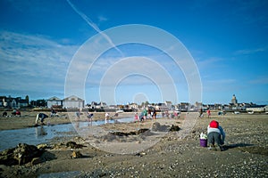 People fishing clams and sea shells at low tide near the village of the Croisic on Guerande peninsula France