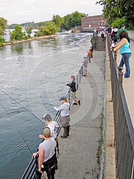 People Fishing for Salmon in the Oswego River