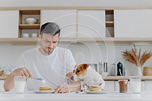 People, food, drink and pets concept. Horizontal shot of handsome young man eats tasty sweet pancakes, his pedigree dog looks with