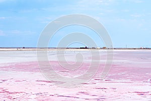 People gathering salt of pink salty Siwash Lake, colored by microalgae, famous for antioxidant properties,