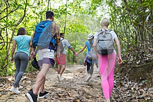 People Group With Backpacks Trekking On Forest Path Back Rear View, Young Men And Woman On Hike