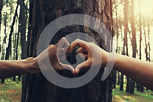 people hand hearts shape on tree