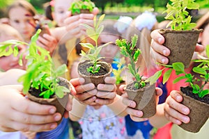 People Hands Cupping Plant In Nurture Environmental.