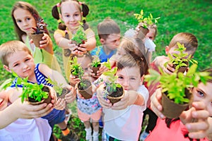 People Hands Cupping Plant In Nurture Environmental.