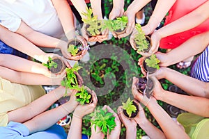 People Hands Cupping Plant In Nurture Environmental. photo