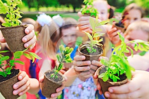 A People Hands Cupping Plant Nurture Environmental.