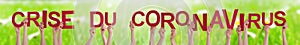 People Hands Holding Word Crise Du Coronavirus Means Corona Crisis, Grass Meadow