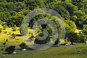 People have a picnic under the tree