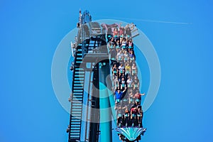 People having fun amazing Mako roller coaster at Seaworl. 4