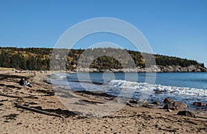 People Having Fun at the Beach 