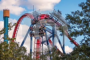 People having fun Sheikra rollercoaster at Busch Gardens 19