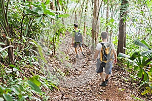 People hiking with backpacks, jungle trekking, group of tourists backpackers