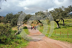 People hiking in Natural Park Sierra de Aracena and Picos de Aroche, Huelva province, Spain