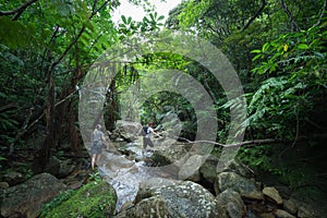 People hiking in tropical rainforest jungle, Ishigaki Island, Okinawa, Japan