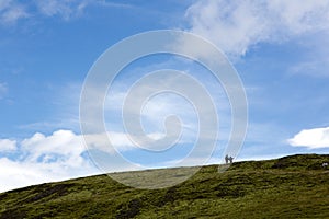 People on hill top