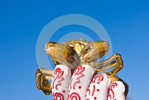 People holding a crab