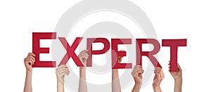 People Holding Expert