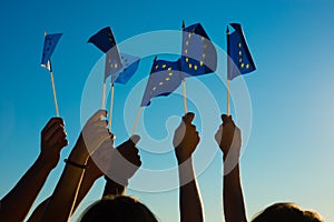 People holding flags of the European Union.