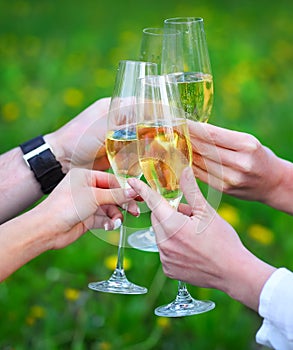 People holding glasses of champagne making a toast outdoors