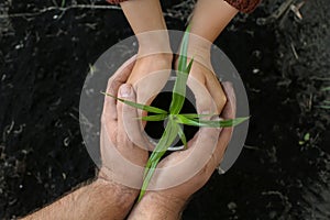 People holding pot with green seedling and soil outdoors