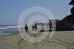 People on horseback are walking along the beach. Mancora, Peru
