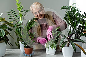 people, housework and plants care concept - senior woman watering houseplants at home