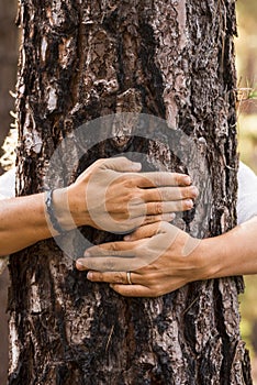 People hugging tree close up nature lover concept lifestyle image - one woman behing a trunk embracing and protect forest woods