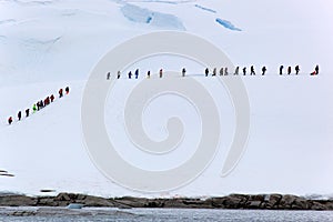 People On Ice