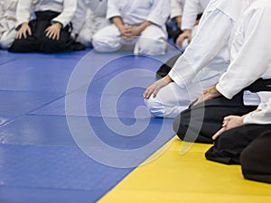 People in kimono and hakama on martial arts training seminar