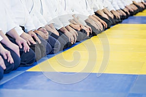 People in kimono and hakama sitting in a long line