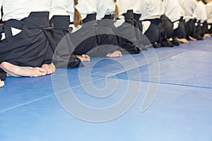 People in kimono and hakama sitting in a long line on martial arts training seminar