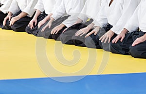 People in kimono and hakama sitting in a long line on martial arts training seminar