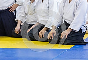 People in kimono and hakama sitting on tatami on martial arts training