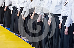 People in kimono and hakama standing in a line on martial arts training seminar.
