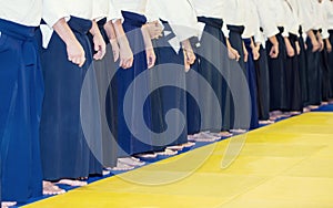 People in kimono and hakama standing in a line on martial arts training seminar.