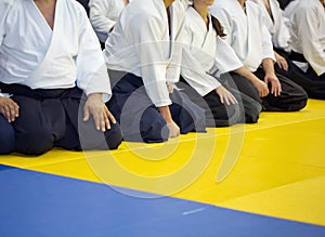 People in kimono sitting on tatami on martial arts