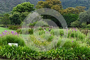 People at Kirstenbosch botanical garden at Cape Town on South Africa