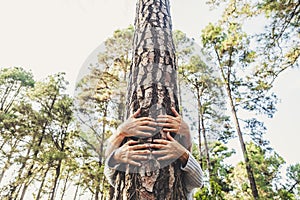 People and love for nature environment concept with hands hugging a trunk tree in the forest - stop deforestation and save the