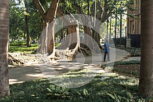 People on Luz Public Park in downtowns Sao Paulo. This is the city's first public park